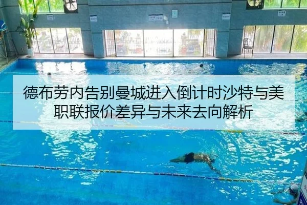 de-bu-lao-nei-gao-bie-man-cheng-jin-ru-dao-ji-shi-sha-te-yu-mei-zhi-lian-bao-jia-cha-yi-yu-wei-lai-qu-xiang-jie-xi-2-262.jpg