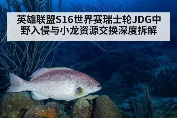 英雄联盟S16世界赛瑞士轮JDG中野入侵与小龙资源交换深度拆解